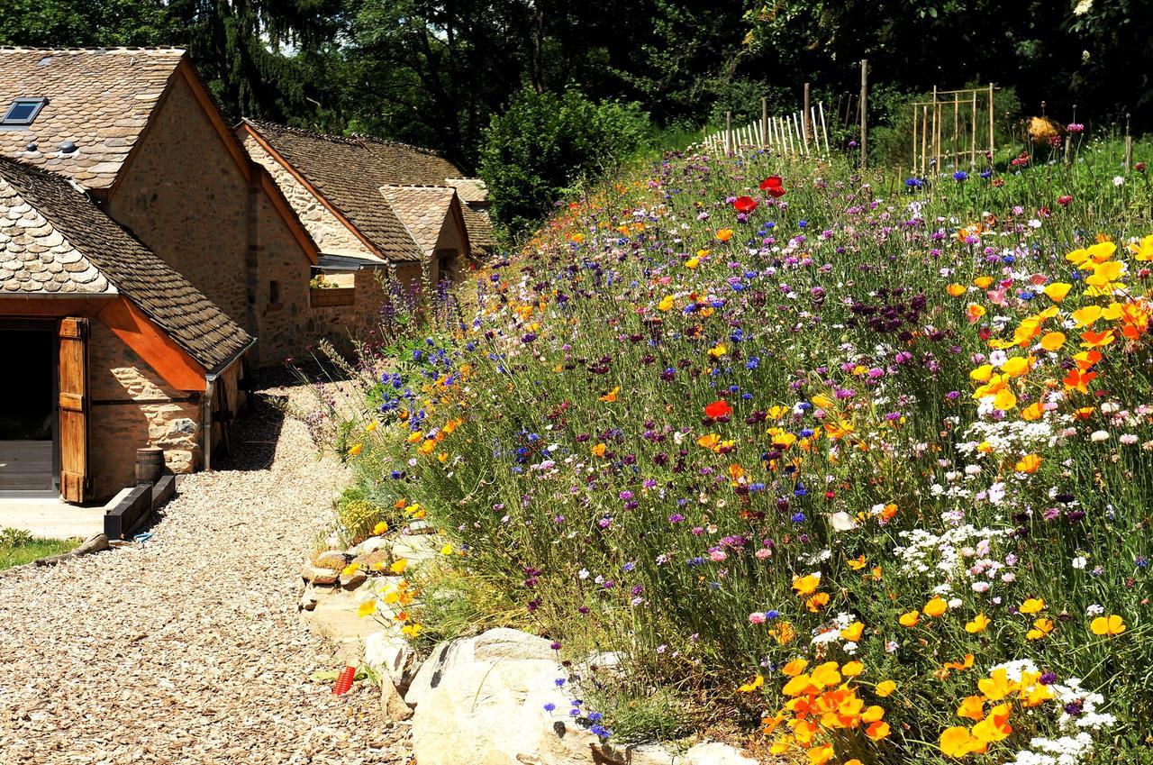 Domaine Des Marequiers Chambre Pimprenelle Saint-Germain-du-Teil Exterior foto